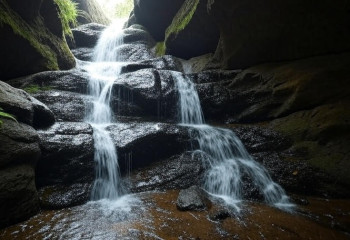 Сотни сомов-шмелей покорили водопад в Бразилии: редкое явление сняли на видео