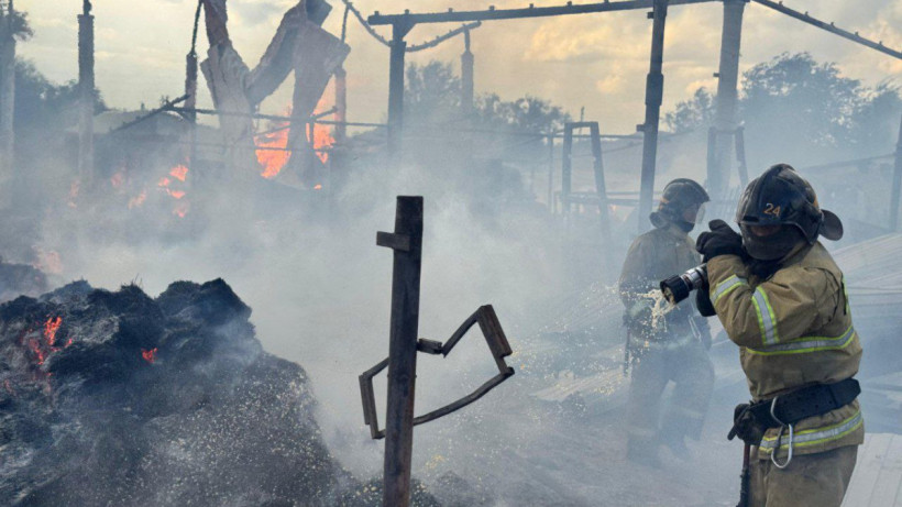  ТЖМ баспасөз қызметі 