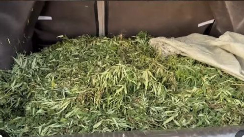  Видеодан кадр 