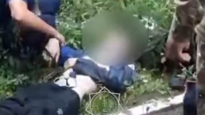  Видеодан кадр 