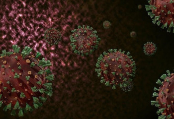 Rare genetic mutation could enable near-universal virus immunity, study finds
