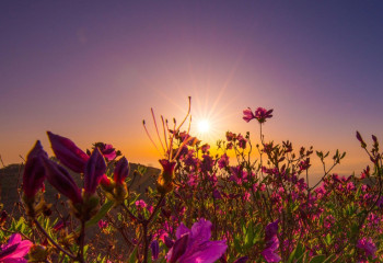 23 тамызда ауа райы қандай болады