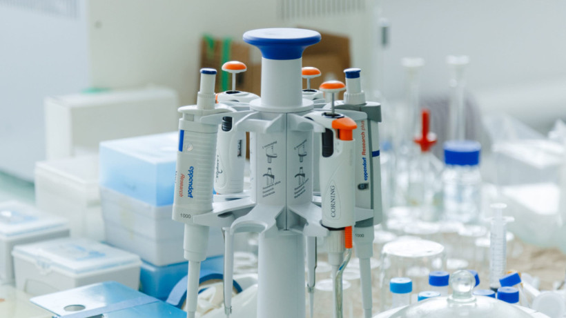  © El.kz / Жалғасбек ТОҚТАМЫСОВ 