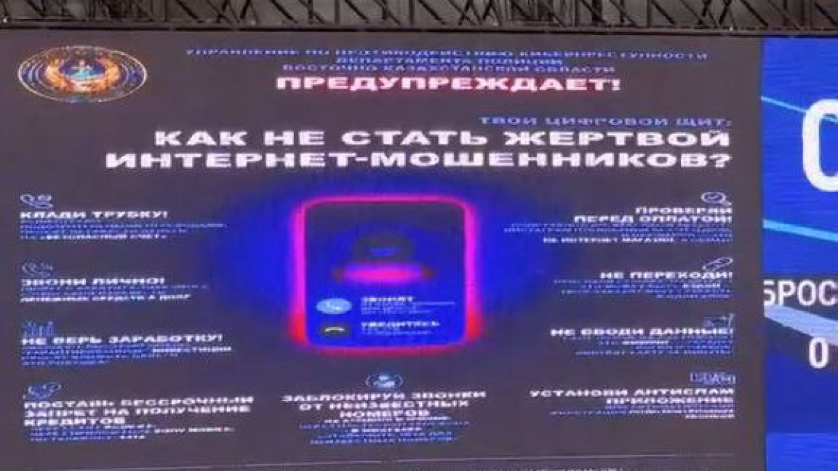  Видеодан кадр 