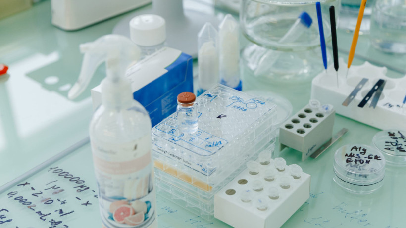  © El.kz / Жалғасбек ТОҚТАМЫСОВ 