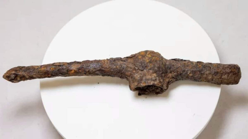  © Пресс-служба Сибирского федерального университета 