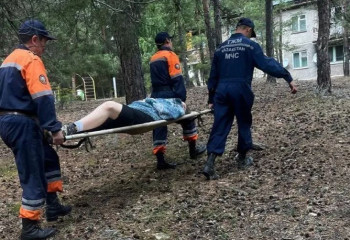 Орманға саңырауқұлақ теруге шыққан қызға құтқарушылар көмек көрсетті