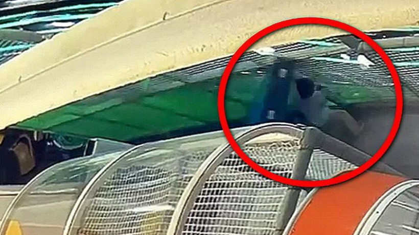  видеодан кадр 