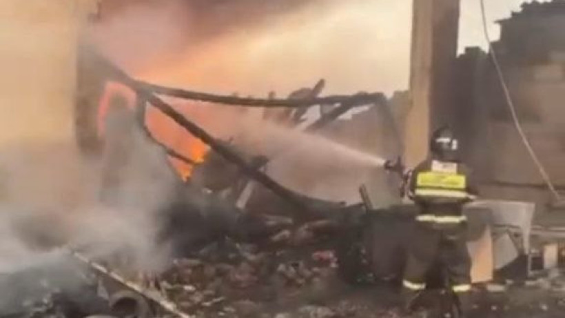  Видеодан кадр 