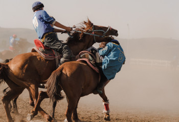 Көкпардан  ел чемпионаты өз мәресіне жетті