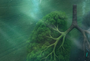 Электронды темекінің экологияға әсері #19