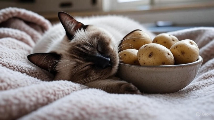  © El.kz / Grok / Динмухамед БЕЙСЕМБАЕВ 