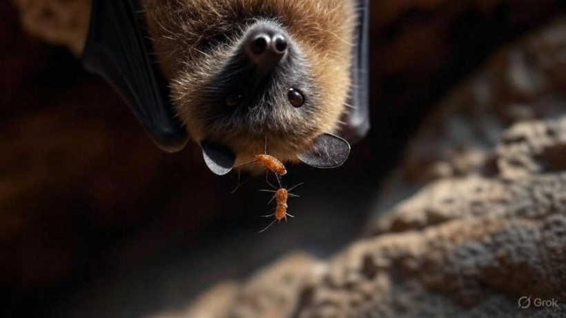  © El.kz / Grok / Динмухамед БЕЙСЕМБАЕВ 