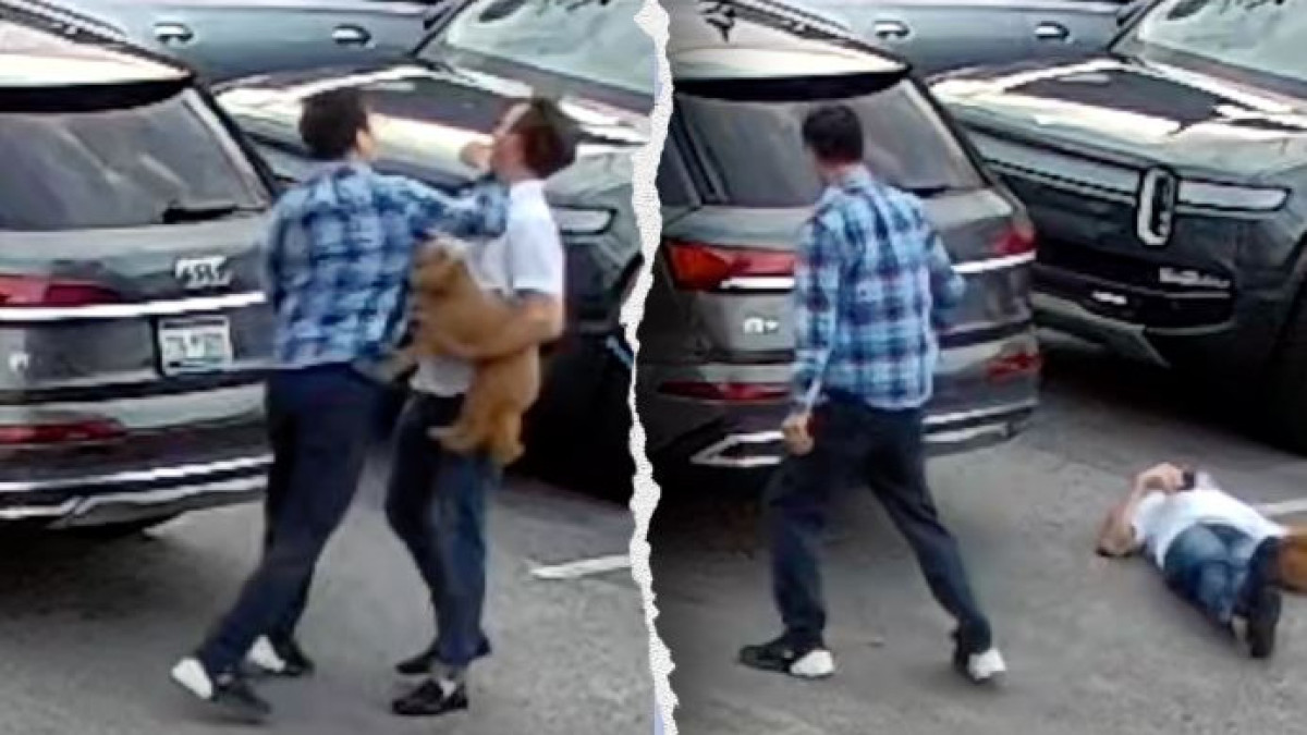  Видеодан алынған кадр 