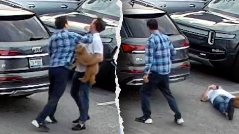  Видеодан алынған кадр 