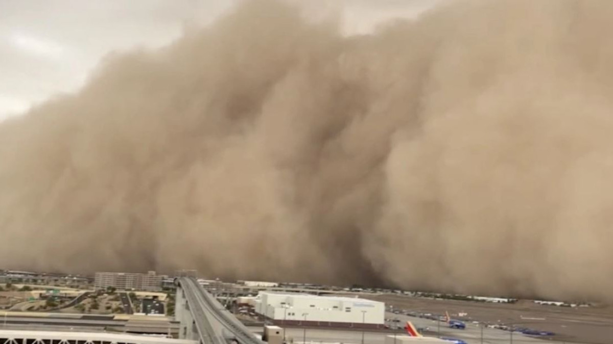  Видеодан алынған кадр 