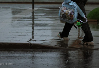 Елімізде күн күрт суытады