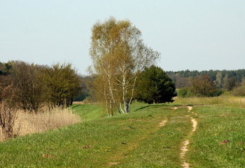 БҚО-да 5 мың гектардан астам жер мемлекетке қайтарылды