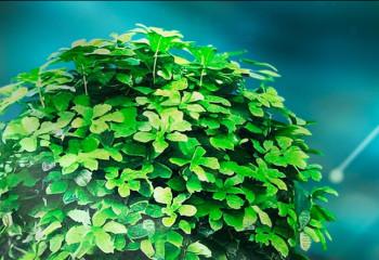 Ең озық қолжетімді технологиялар: Өндірістің экологиялық жаңғыруы Экоlife | #20