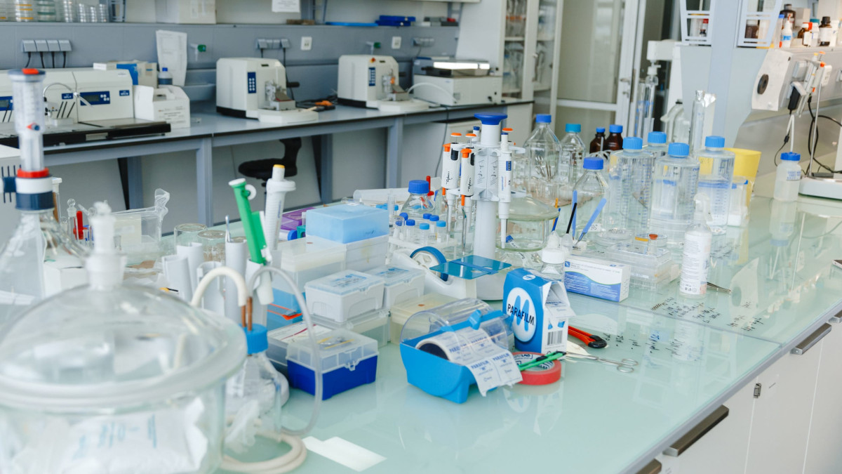  © El.kz / Жалғасбек ТОҚТАМЫСОВ 