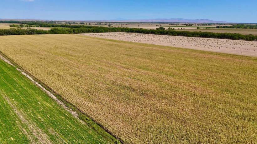  © Пресс-служба акимата Конаева 