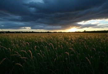 Последний день лета принесет в страну шквалистый ветер и сильные дожди