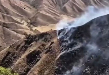 Алматы облысында таулы алқапта шыққан өрт сөндірілді