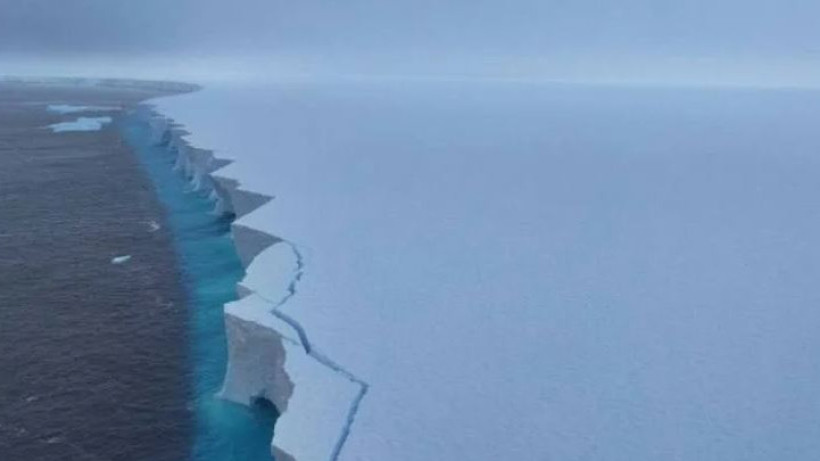  Telegram/aari_official 