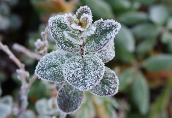 Үсік, өрт қаупі, тұман: 3 қыркүйекке арналған ауа райы болжамы