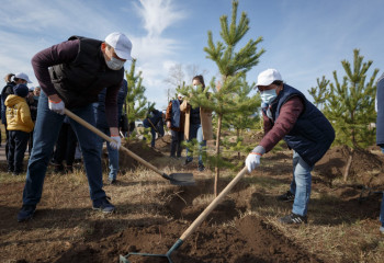 Астананың жасыл белдеуі: Климат пен экологияны өзгертетін жобаның ертеңі