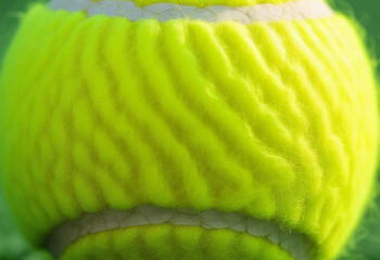 Елена Рыбакина завершила выступление на «Ролан Гаррос»