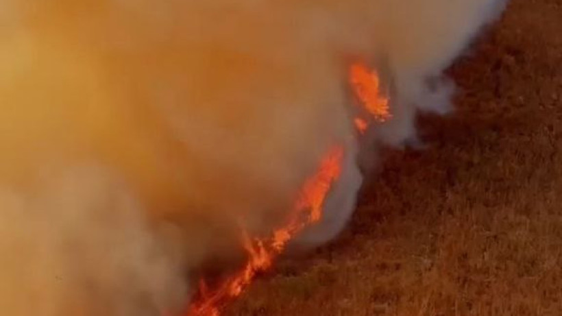  Видеодан кадр 