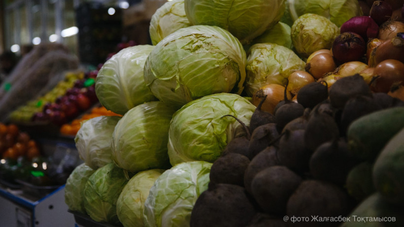  ©El.kz/Жалғасбек Тоқтамысов 