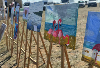 “Flamingo Fest”: Ақмолада бұрын-соңды болмаған фестиваль өтті