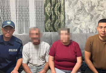 СҚО-да орманда адасып кеткен зейнеткер табылды