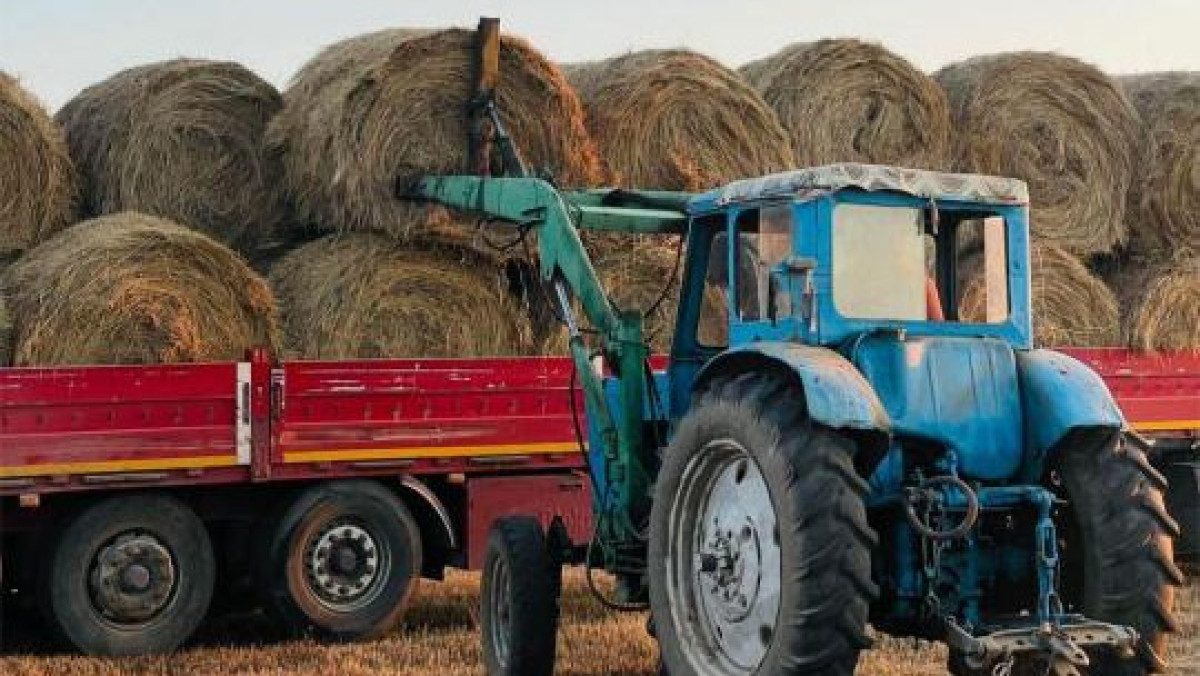  Ауыл шаруашылығы министрлігі 