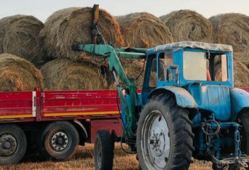 Қазақстанда 27,6 млн тонна мал азығы дайындалды