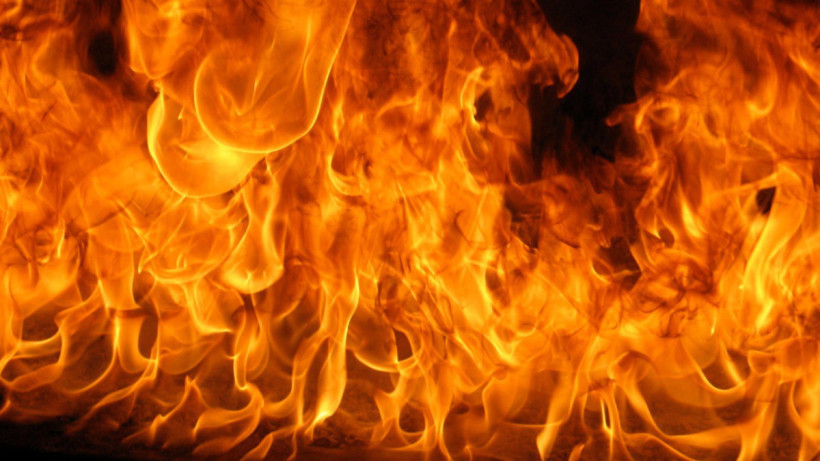  ТЖМ баспасөз қызметі 