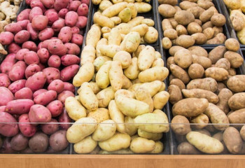Елімізде келесі көктемде картоп бағасы қымбаттамайды