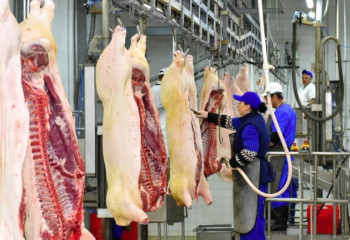 Қазақстанда сиыр еті жеткілікті - АШМ