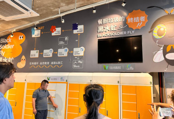 Қоқысты тыңайтқышқа айналдыратын шыбындар туралы білесіз бе?