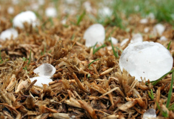 Тұман, бұршақ, өрт қаупі: 9 қыркүйекте ауа райы қандай болады