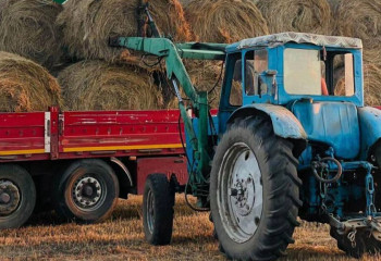 Елде 27,6 млн тонна мал азығы дайындалды