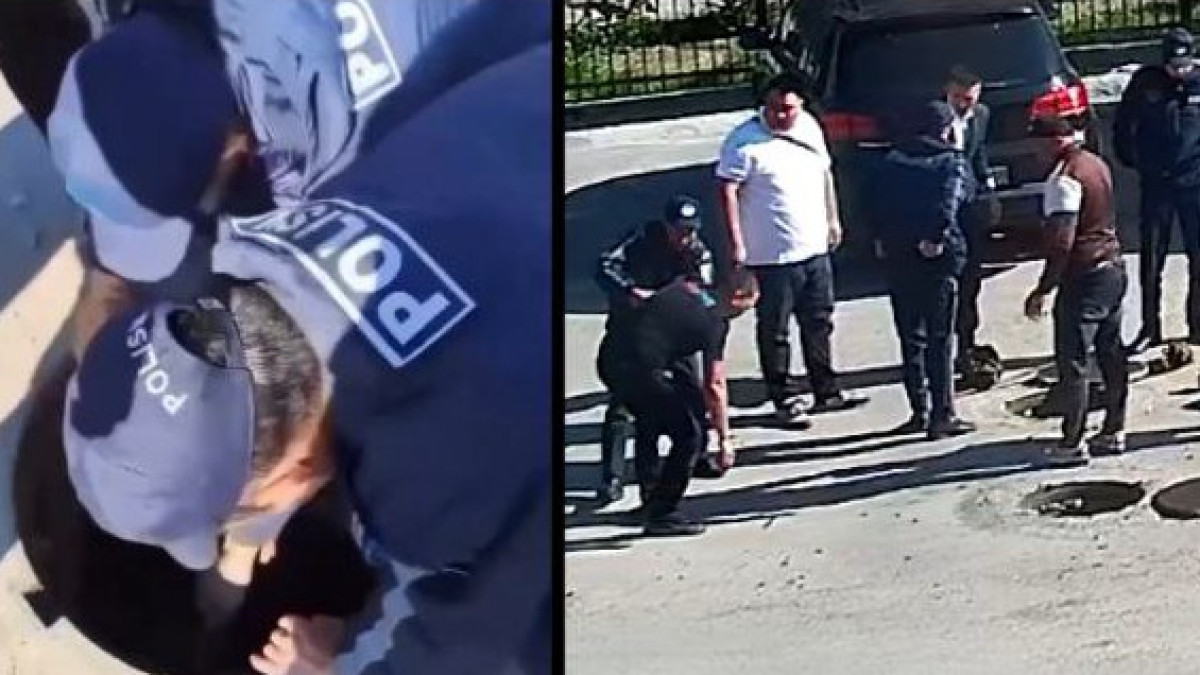  Видеодан кадр 