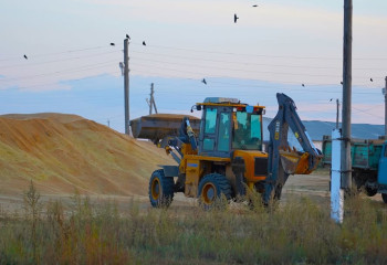 Қостанайда 54 тонна бидайды оп-оңай ұрлап кеткендер ұсталды