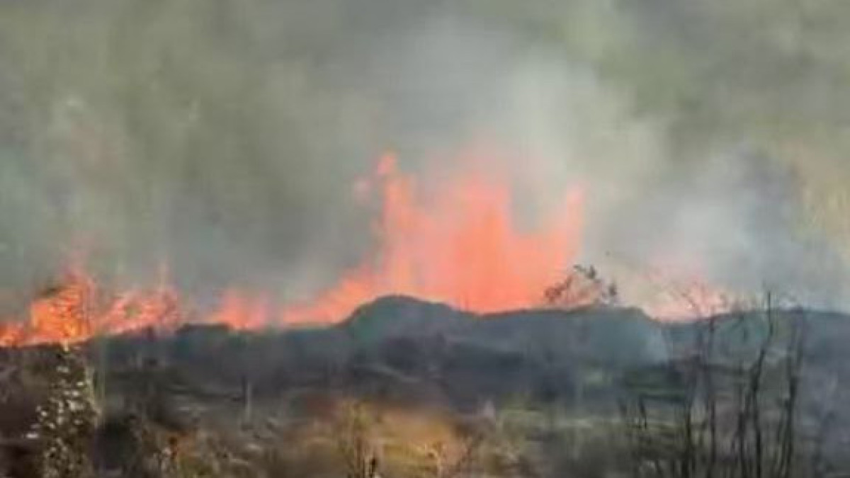  Видеодан кадр 