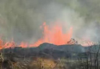 Алматының тау бөктерінде өрт шықты