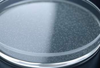 Новый метод позволяет выявлять нанопластик без дорогих микроскопов