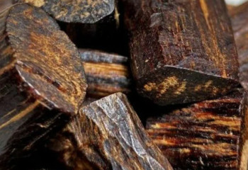 Кинам: алтыннан да қымбат ағаш