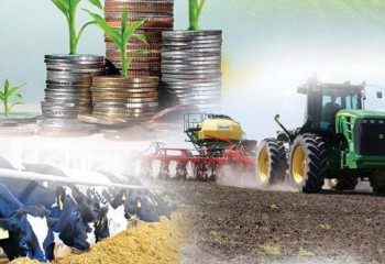 Елімізде ауыл шаруашылығының жалпы өнім көлемі 3,6 трлн теңгеге жетті